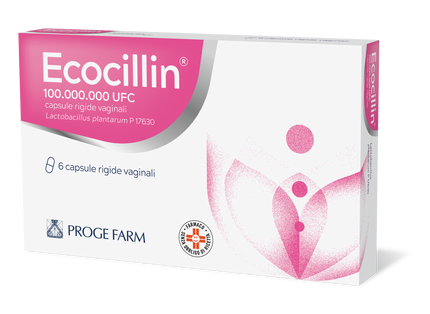 ECOCILLIN 100.000.000 UFC CAPSULE RIGIDE VAGINALI 6 CAPSULE IN BLISTER OPA/AL/PVC-AL