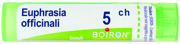 EUPHRASIA OFF 5CH GR 4G