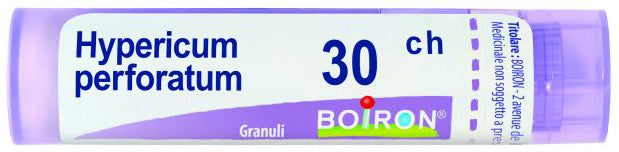 HYPERICUM PERF 30CH GR 4G