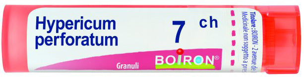 HYPERICUM PERF 7CH GR 4G