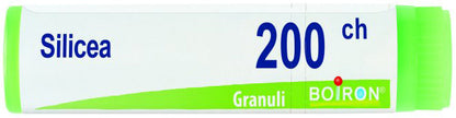 SILICEA 200CH GL 1G