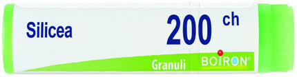 SILICEA 200CH GL 1G