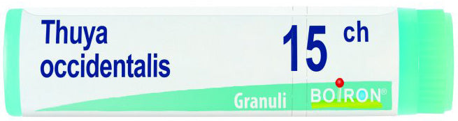 THUYA OCC 15CH GL 1G