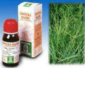 GRAMIGNA 37 50ML TM - Farmaspeed