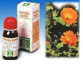 CALENDULA OFF 5 50ML TM - Farmaspeed