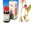 ECHINACEA 59 50ML TM - Farmaspeed
