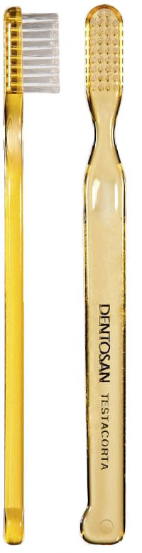 DENTOSAN SHORT HEAD TOOTHBRUSH