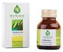 TRIBULUS 100 CAPSULES