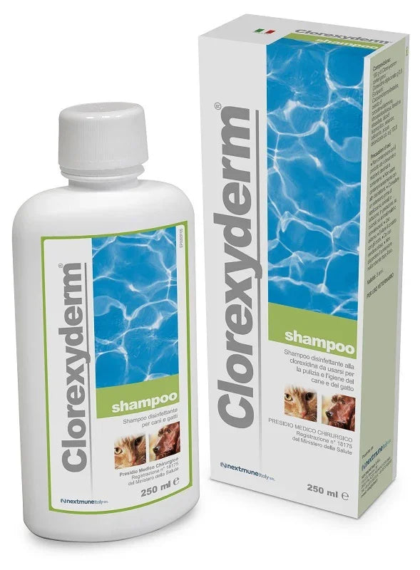 CLOREXYDERM SHAMPOO 250 ML - Farmaspeed