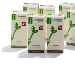 RIBES NERO MACERATO GLICERICO 100 ML - Farmaspeed