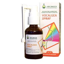 VOCALGEA SPRAY ALCOHOLIC SOLUTION 30 ML
