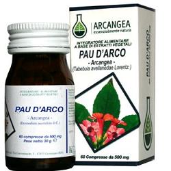 PAU DARCO 60 CAPSULES 500 MG