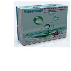 VITAENERGY 20 BUSTINE - Farmaspeed