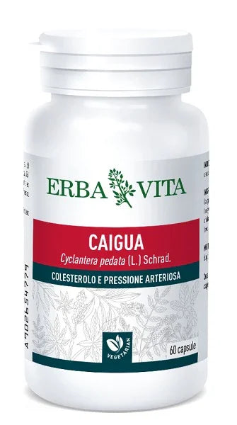 CAIGUA 60 CAPSULE 400 MG - Farmaspeed