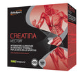 ETHICSPORT CREATINE VECTOR 20 SACHETS 8 G