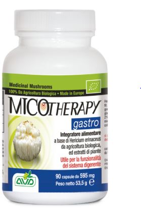 MICOTHERAPY GASTRO 90 CAPSULES