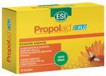 ESI PROPOLAID FLU 10 SACHETS