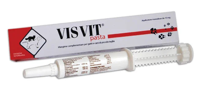 VISVIT PASTA OS SIRINGA 15 G - Farmaspeed