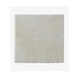 MEDICAZIONE BIATAIN ALGINATE IN ALGINATO E CARBOSSIMETILCELLULOSA 15X15 CM 10 PEZZI - Farmaspeed