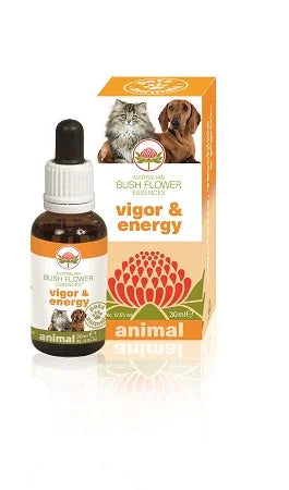 VIGOR & ENERGY 30 ML - Farmaspeed