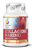 COLOURS OF LIFE COLLAGENE MARINO IDROLIZZATO PURO 60 CAPSULE 575 MG - Farmaspeed