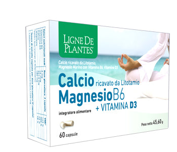 CALCIUM + MAGNESIUM B6 + VITAMIN D3 60 CAPSULES
