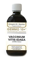 GEMMO 10+ MIRTILLO ROSSO LIQUIDO ANALCOLICO 500 ML - Farmaspeed
