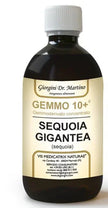 GEMMO 10+ SEQUOIA 500 ML LIQUIDO ANALCOLICO - Farmaspeed