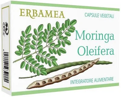 MORINGA OLEIFERA 24 CAPSULE - Farmaspeed