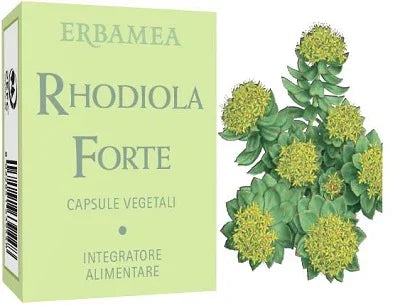 RHODIOLA FORTE 24 CAPSULE - Farmaspeed