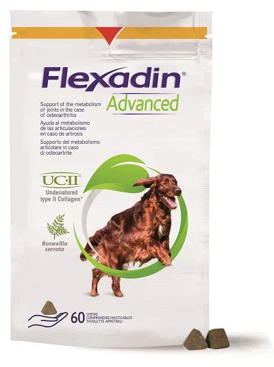 FLEXADIN ADVANCED CANE TUTTE LE TAGLIE 60 TAVOLETTE APPETIBILI - Farmaspeed