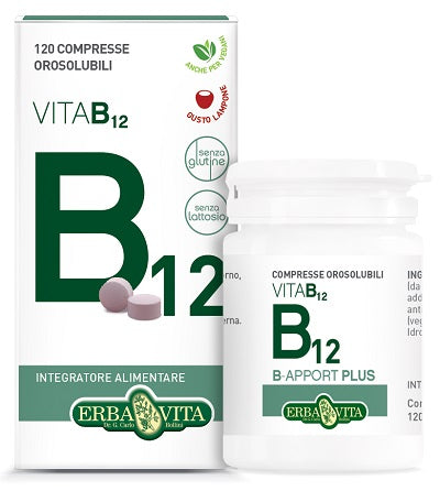 B APPORT VITAMIN B12 120 ODOURABLE TABLETS