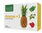 ANANAS +3 60 CAPSULE