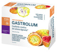 GASTROLUM 14 STICK DA 10 ML