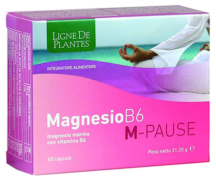 MAGNESIUM B6 M-PAUSE 60 CAPSULES
