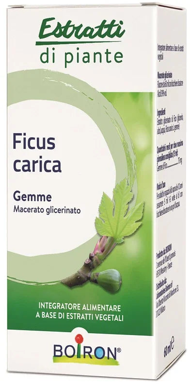 FICUS CARICA BOIRON MACERATO GLICERICO 60 ML - Farmaspeed