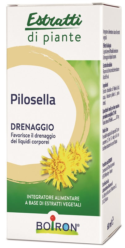PILOSELLA BOIRON HYDROALCOHOLIC EXTRACT 60 ML