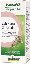 VALERIANA BOIRON ESTRATTO IDROALCOLICO 60 ML - Farmaspeed