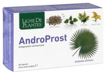 ANDROPROST 60 CAPSULE - Farmaspeed