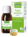 FAGUS SYLVATICA BOIRON MACERATO GLICERICO 60 ML