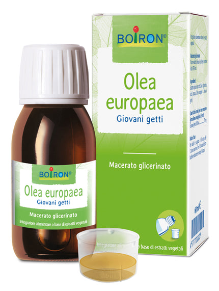 OLEA EUROPAEA BOIRON GLYCERINE MACERATE 60 ML