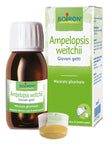 AMPELOPSIS WESTRATTO IDROALCOLICO BOIRON MACERATO GLICERICO 60 ML - Farmaspeed