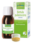 BETULA PUBESC BOIRON MACERATO GLICERICO 60 ML - Farmaspeed