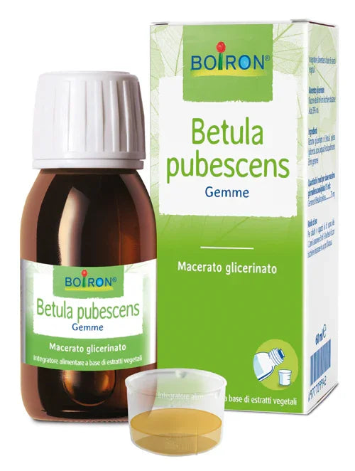 BETULA PUBESC BOIRON MACERATO GLICERICO 60 ML - Farmaspeed