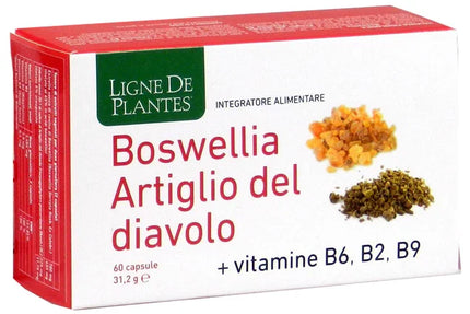 BOSWELLIA ARTIGLIO DIAVOLO VITAMINE B2 B6 B9 60 CAPSULE - Farmaspeed