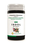 SYSTEM INDOL 50 ML - Farmaspeed