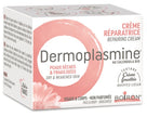 DERMOPLASMINE MOUSSE 20 G