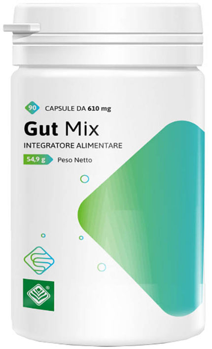 GUT MIX 90 CAPSULES
