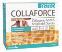 COLLAFORCE OSTEO 20 BUSTINE