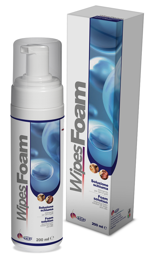 WIPES FOAM 200 ML